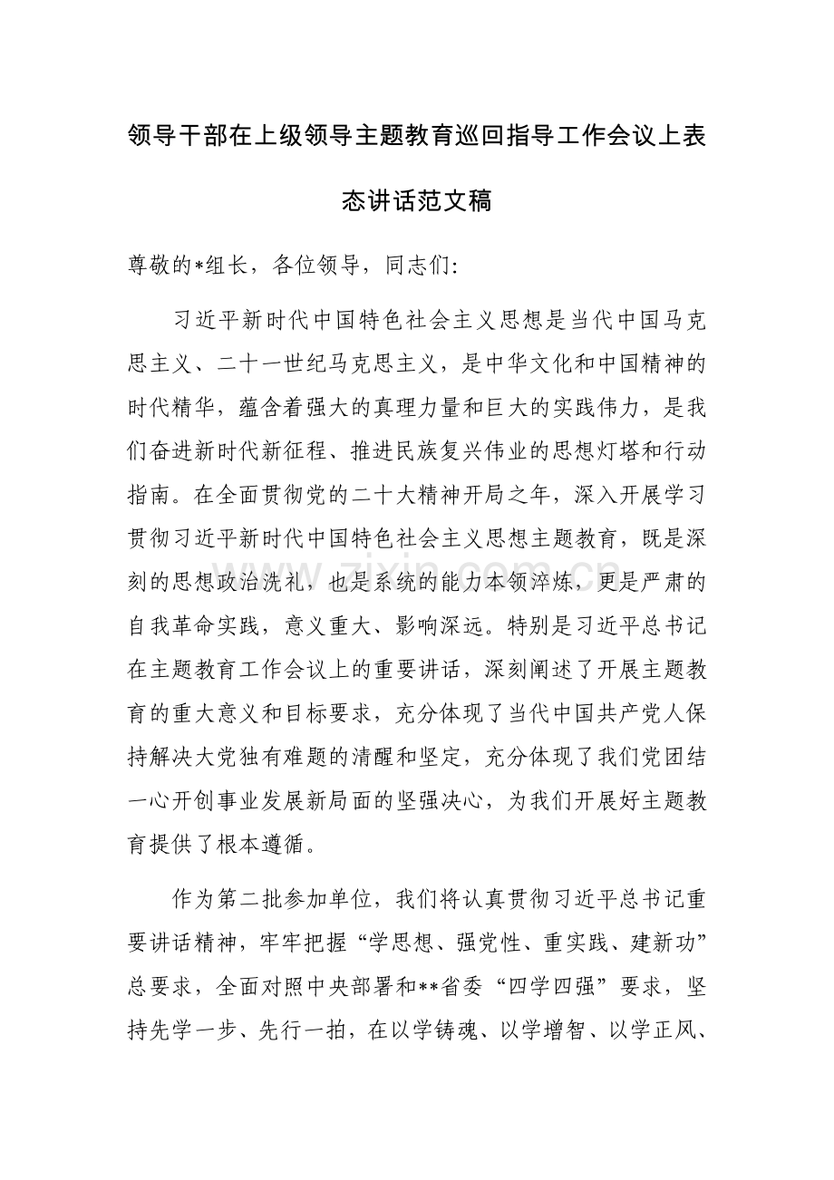 领导干部在上级领导主题教育巡回指导工作会议上表态讲话范文稿.docx_第1页