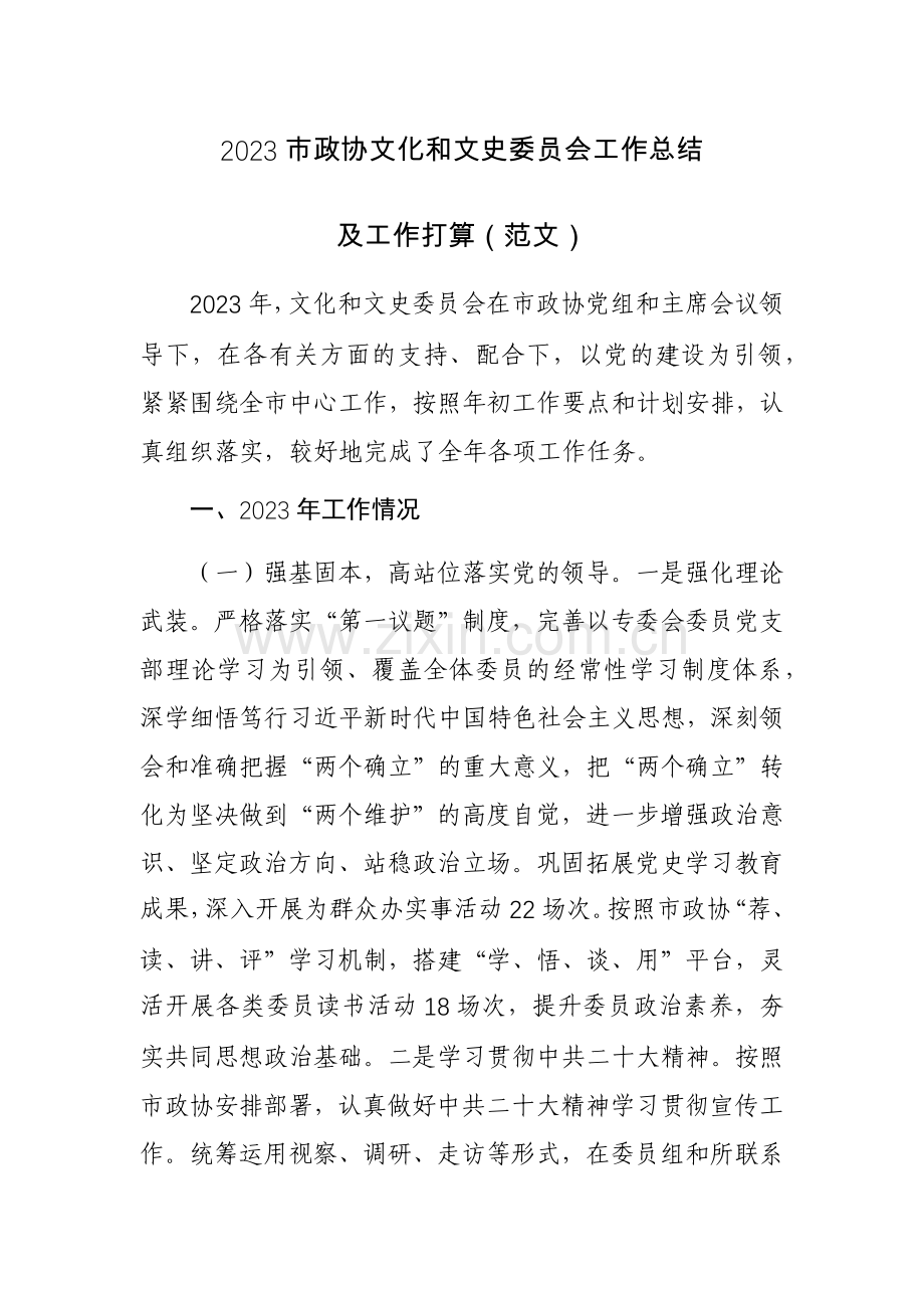 2023市政协文化和文史委员会工作总结及工作打算（范文）.docx_第1页