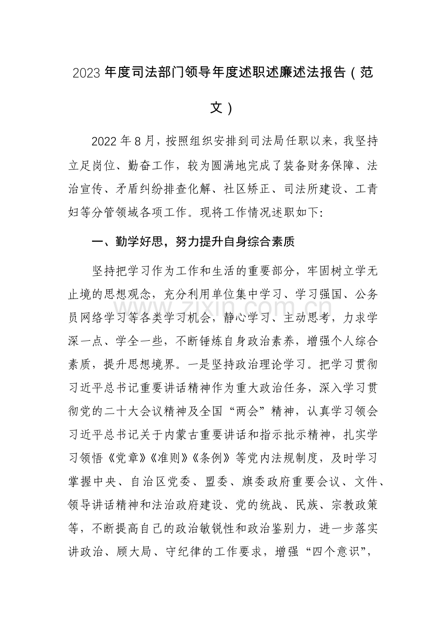 2023年度司法部门领导年度述职述廉述法报告（范文）.docx_第1页