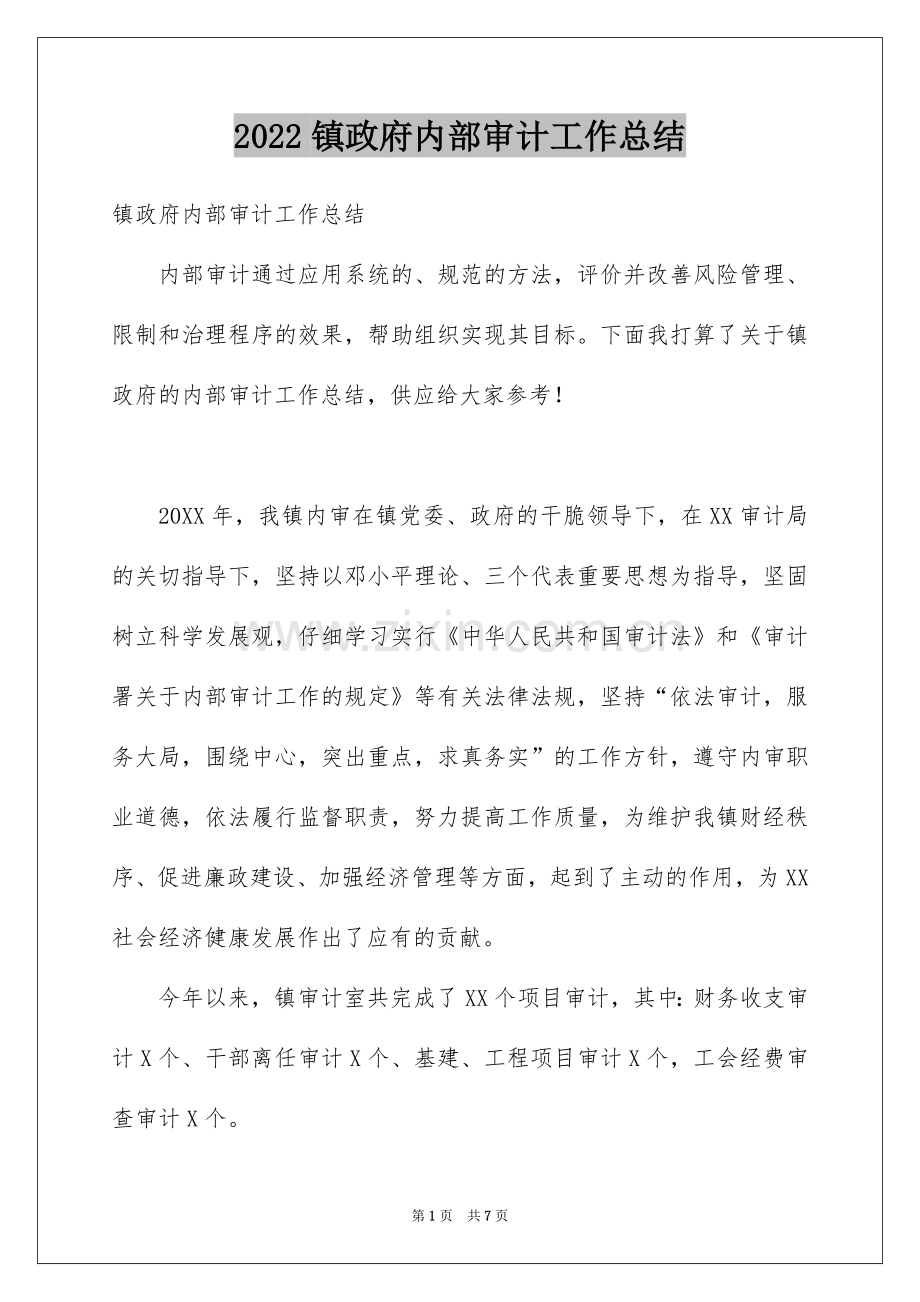 2022镇政府内部审计工作总结.docx_第1页