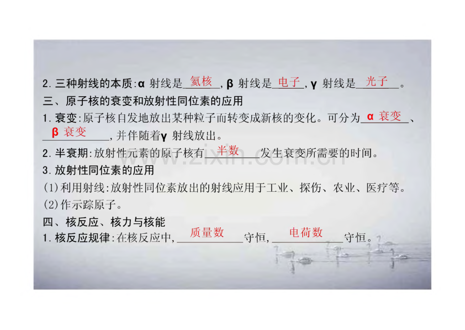 高考物理一轮复习 第十三章 原子结构 原子核 课时2 原子核课件 新人教版-新人教版高三全册物理课件.pdf_第3页