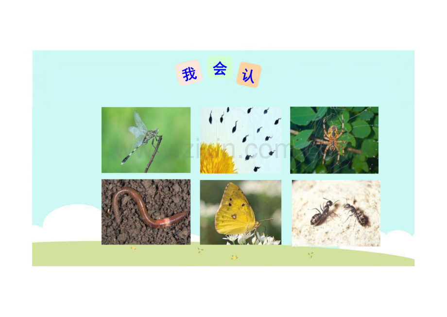 《动物儿歌》完整教学_课件(精选6篇).pdf_第2页