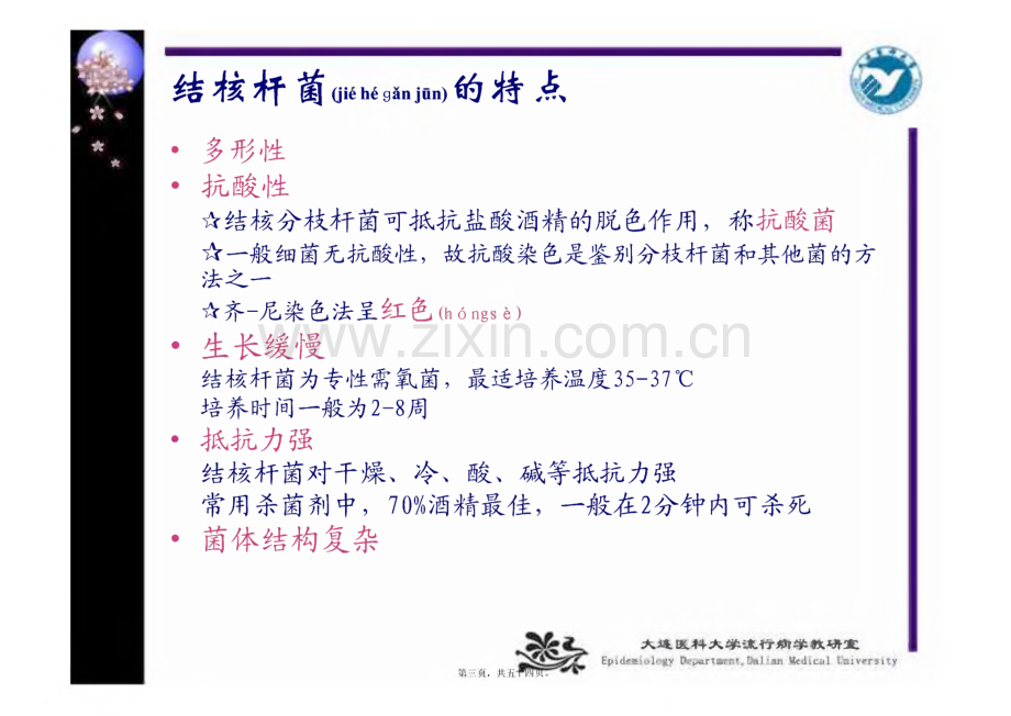 结核课件 结核病流行病学.pdf_第3页