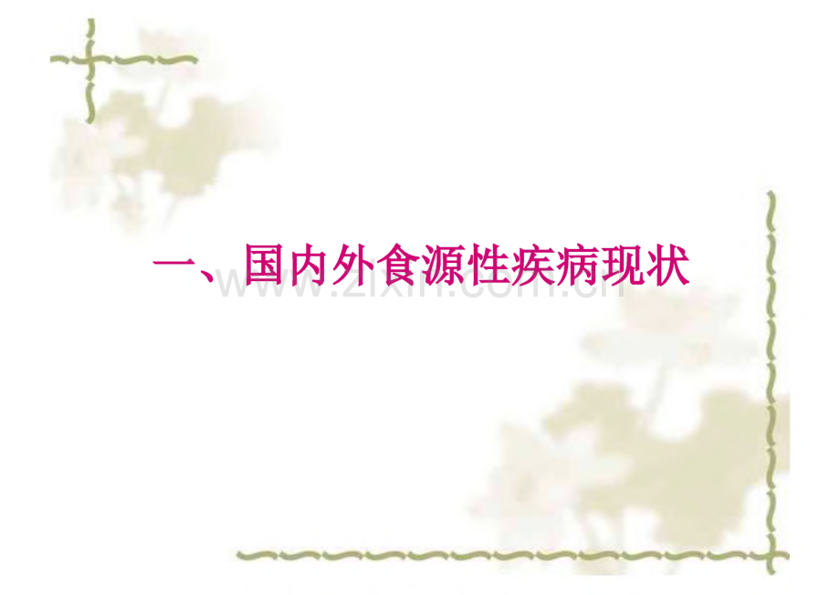 食源性疾病流行病学调查概要(共74张).pdf_第2页