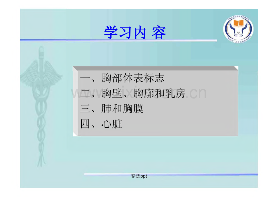 健康评估-第六节 胸部评估.pdf_第3页