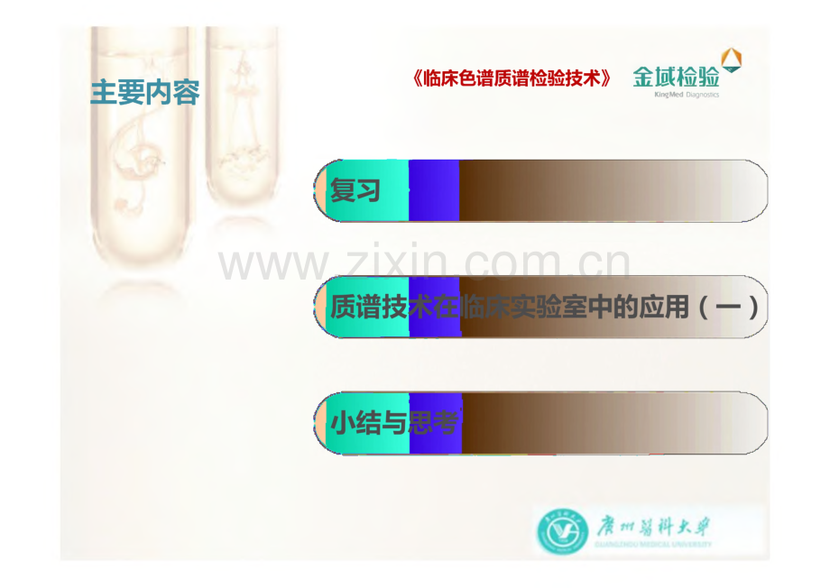 临床色谱质谱检验技术：色谱质谱技术的其他常见应用（二）.pdf_第2页