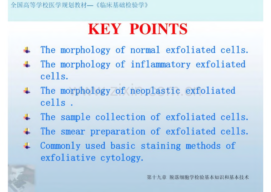 临床基础检验学-第十九章 脱落细胞学检验基本知识和基本技术.pdf_第2页