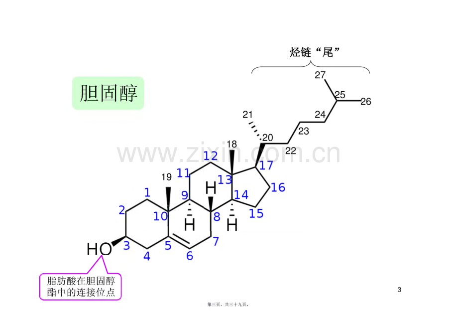 脂质代谢紊乱_课件.pdf_第3页