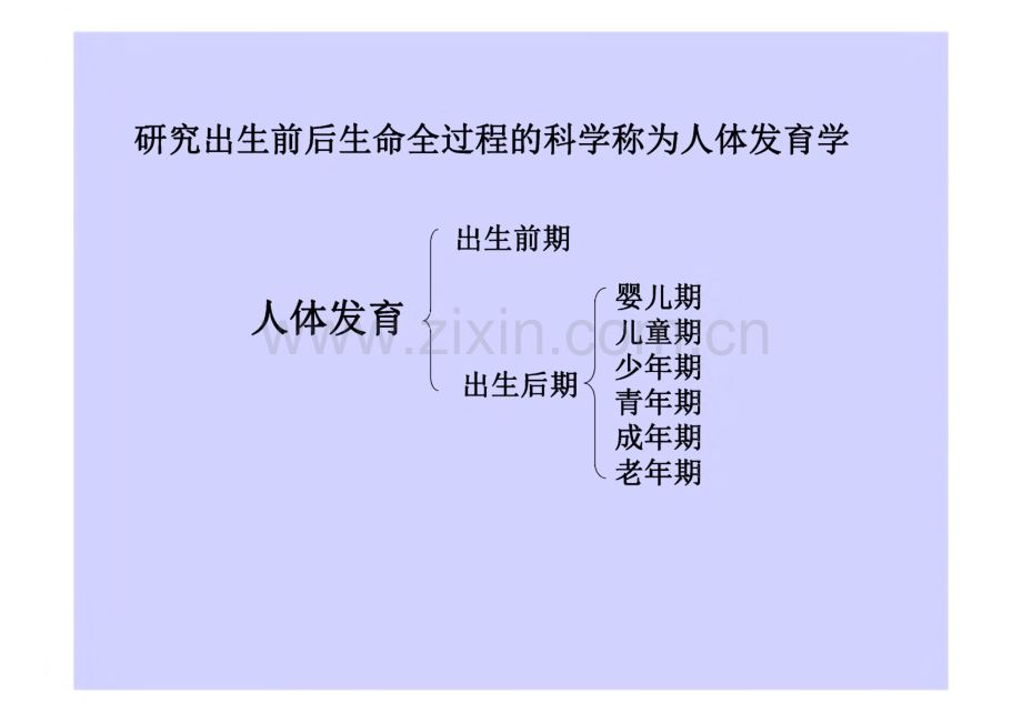 组织学与胚胎学课件：人体胚胎学.pdf_第3页