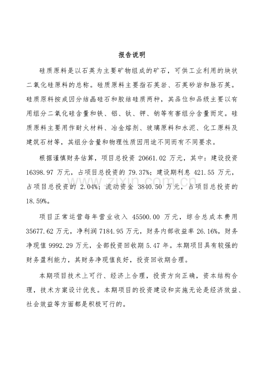 硅质原料项目投资建议书.pdf_第2页