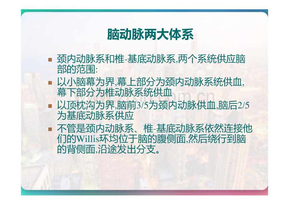 神经内科脑血管解剖及脑梗塞定位诊断.pdf_第3页