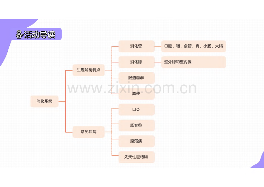 《婴幼儿常见病识别与应对》3.5 消化系统常见病防治与护理.pdf_第3页