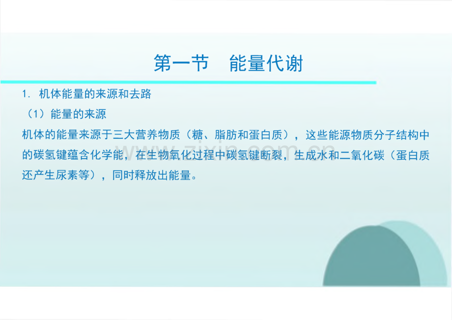 生理学教学课件07能量代谢和体温.pdf_第3页