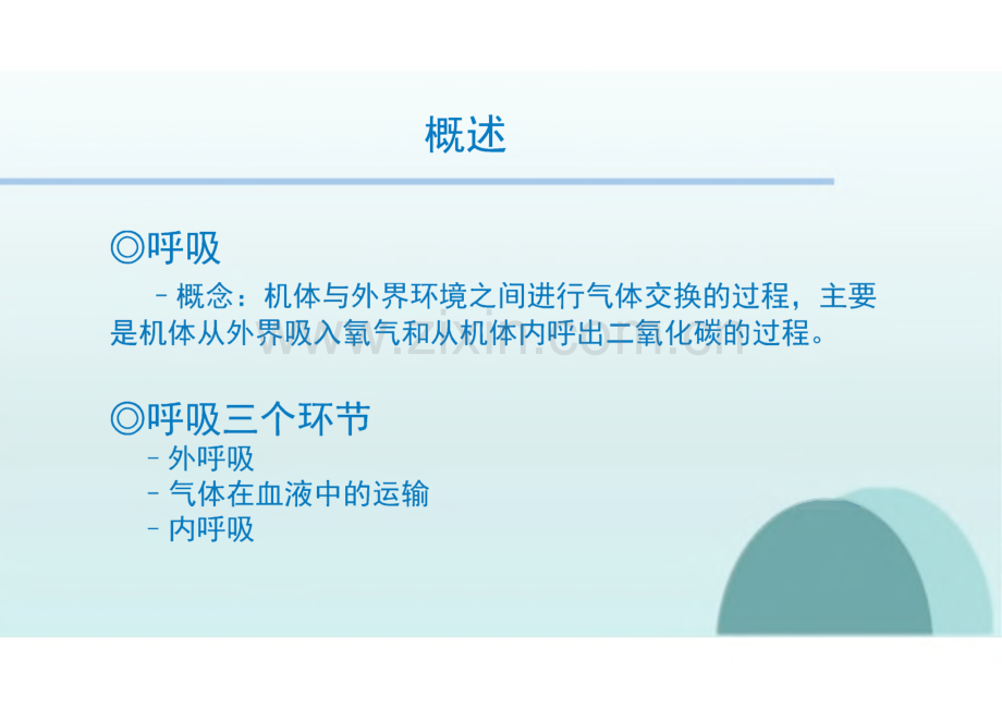 生理学教学课件05呼吸系统.pdf_第3页