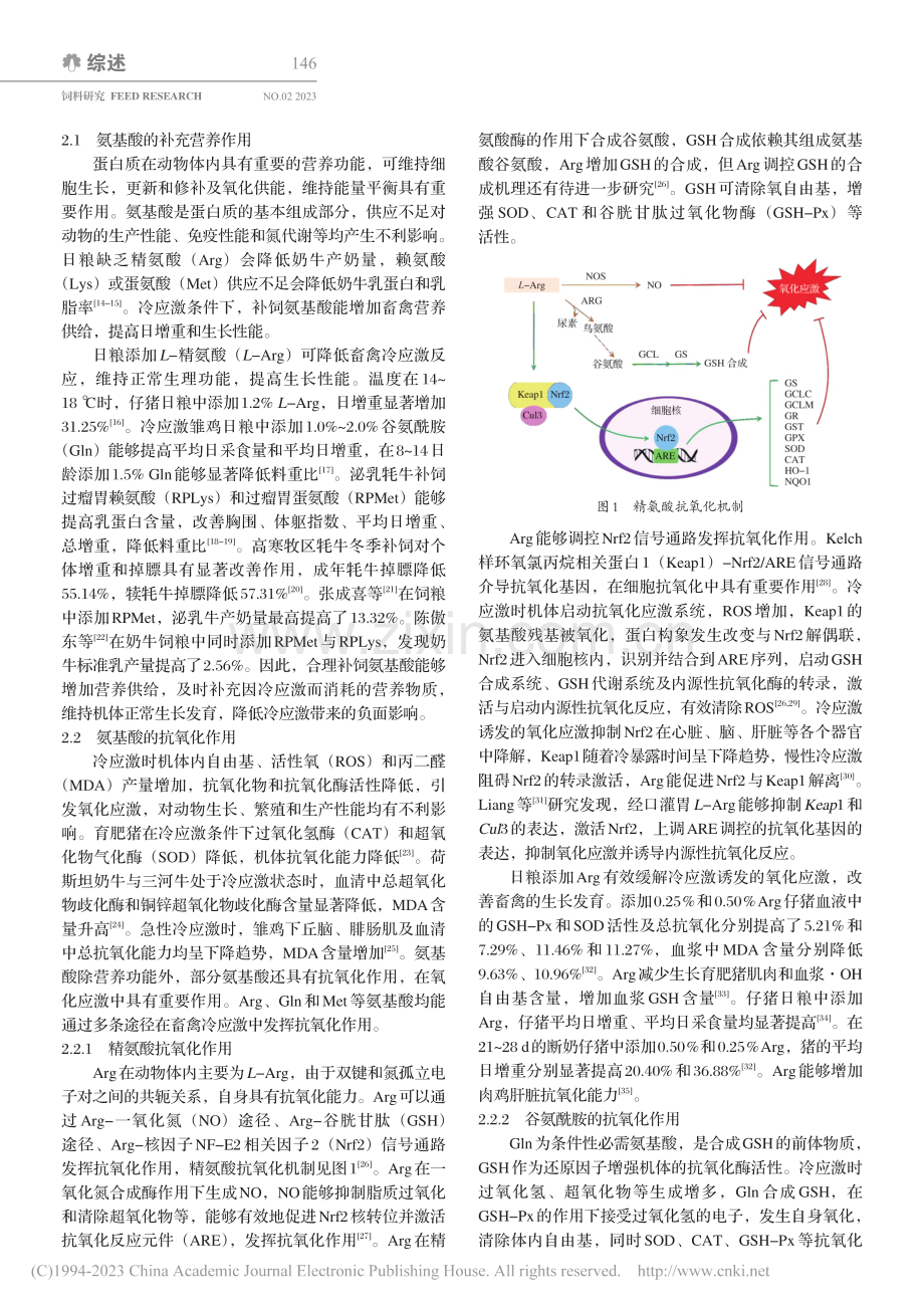 氨基酸在畜禽冷应激中的作用的研究进展_张富兰.pdf_第2页