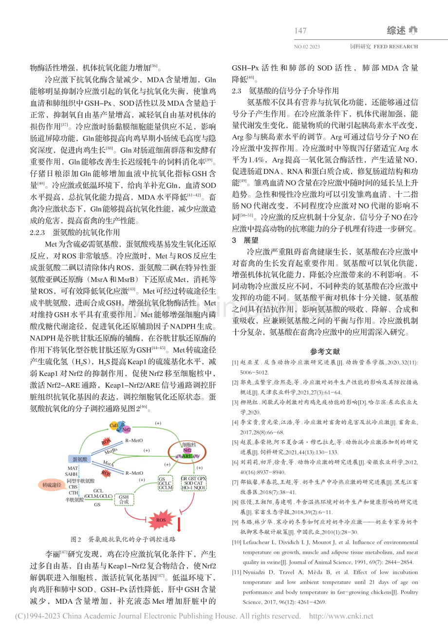 氨基酸在畜禽冷应激中的作用的研究进展_张富兰.pdf_第3页