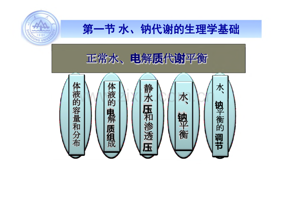 病理生理学 第二章 水、 电解质代谢紊乱.pdf_第3页