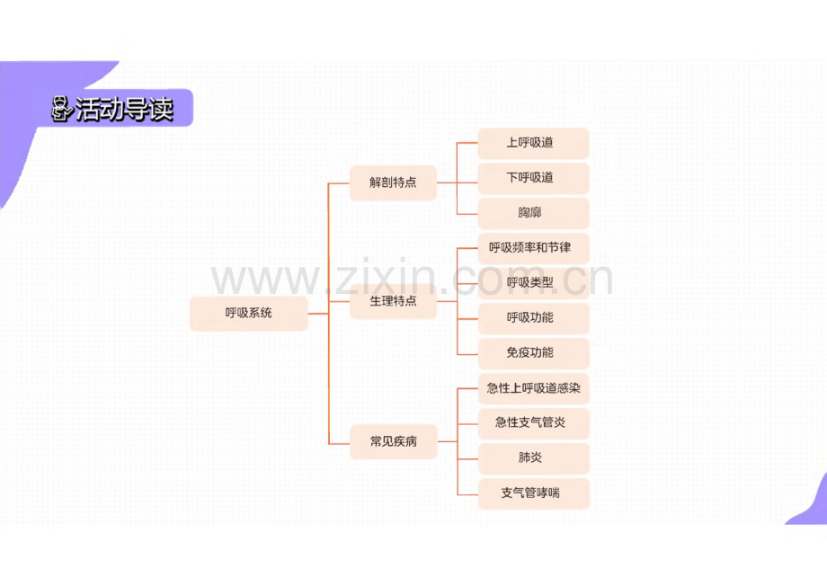 《婴幼儿常见病识别与应对》3.4 呼吸系统常见病防治与护理.pdf_第3页