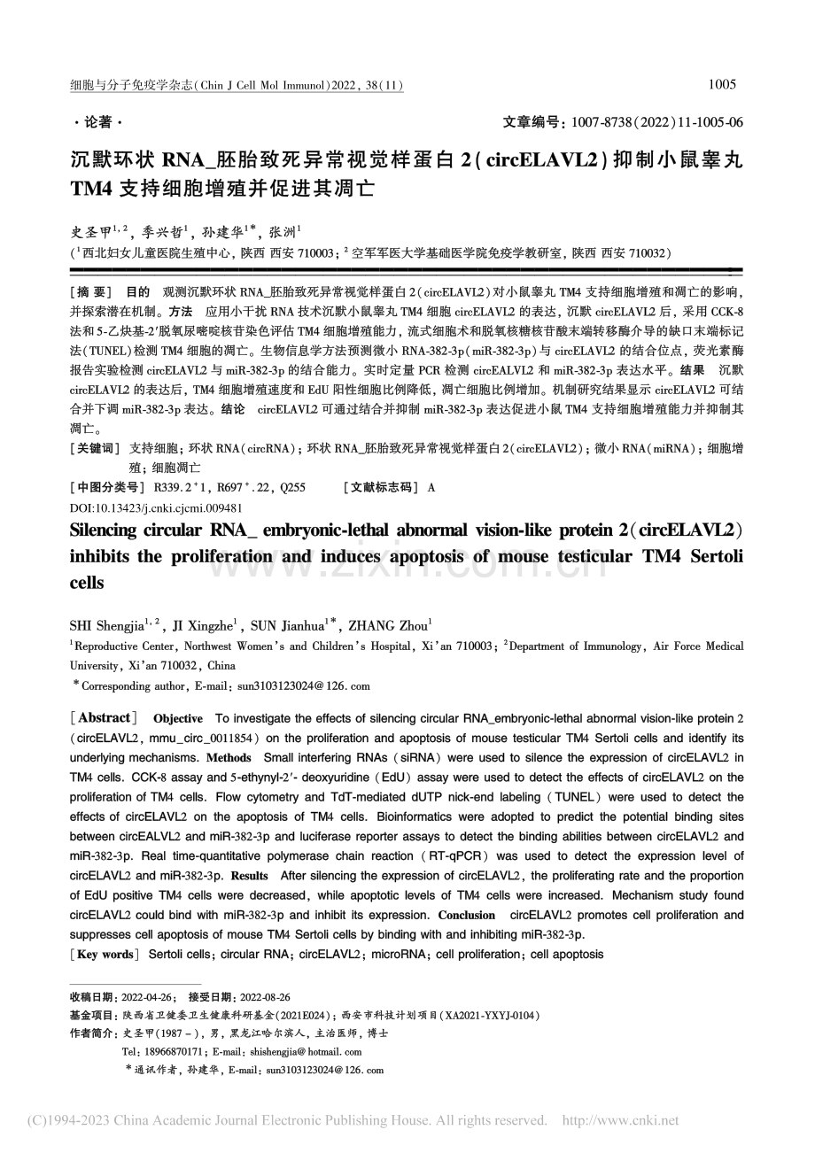 沉默环状RNA_胚胎致死异...4支持细胞增殖并促进其凋亡_史圣甲.pdf_第1页