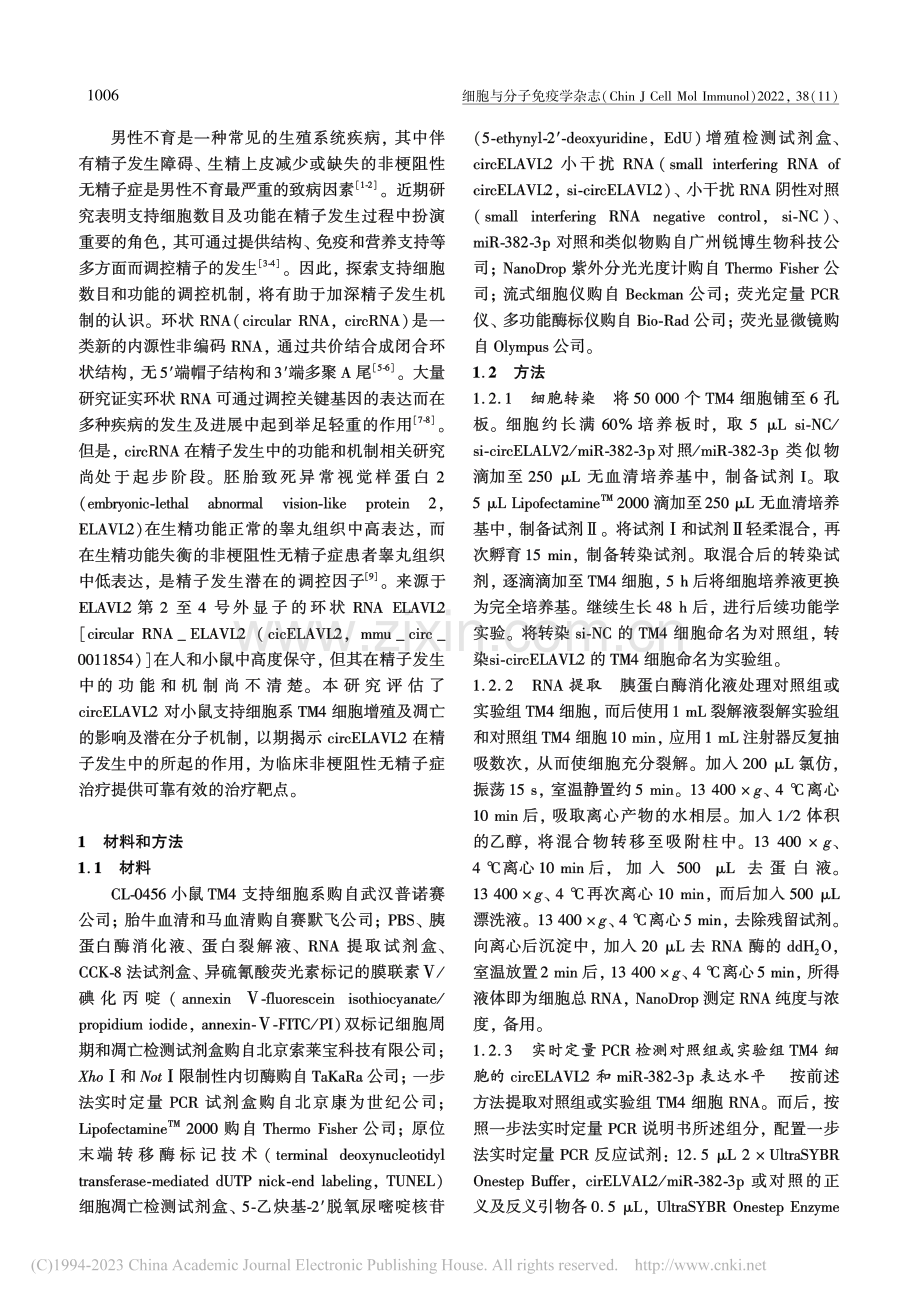 沉默环状RNA_胚胎致死异...4支持细胞增殖并促进其凋亡_史圣甲.pdf_第2页