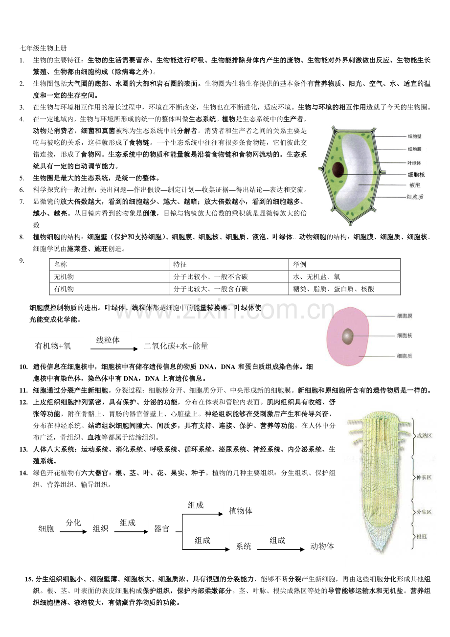 初中生物全总结.pdf_第1页