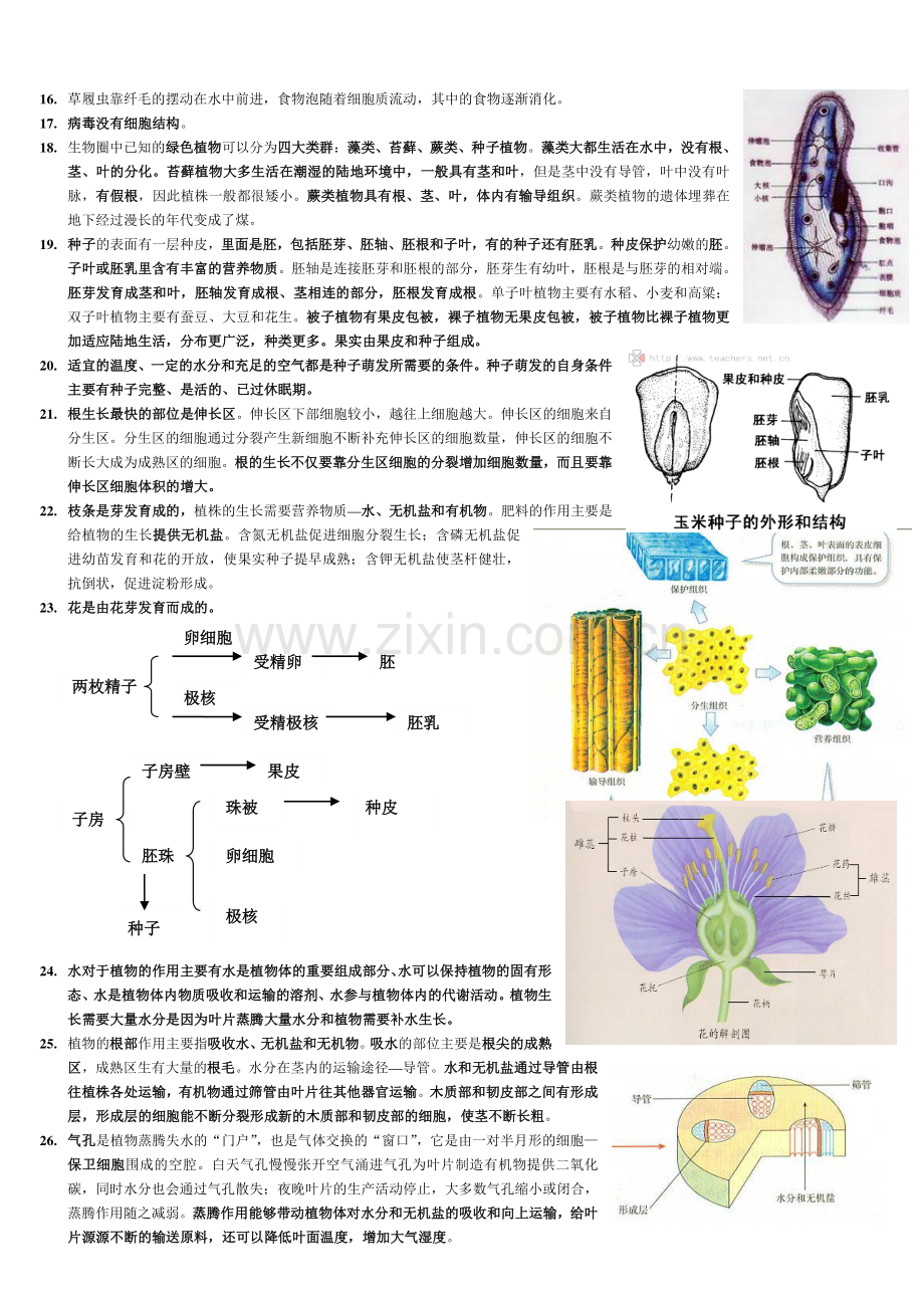 初中生物全总结.pdf_第2页