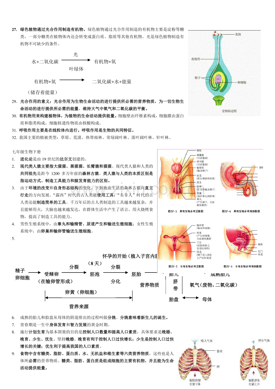 初中生物全总结.pdf_第3页