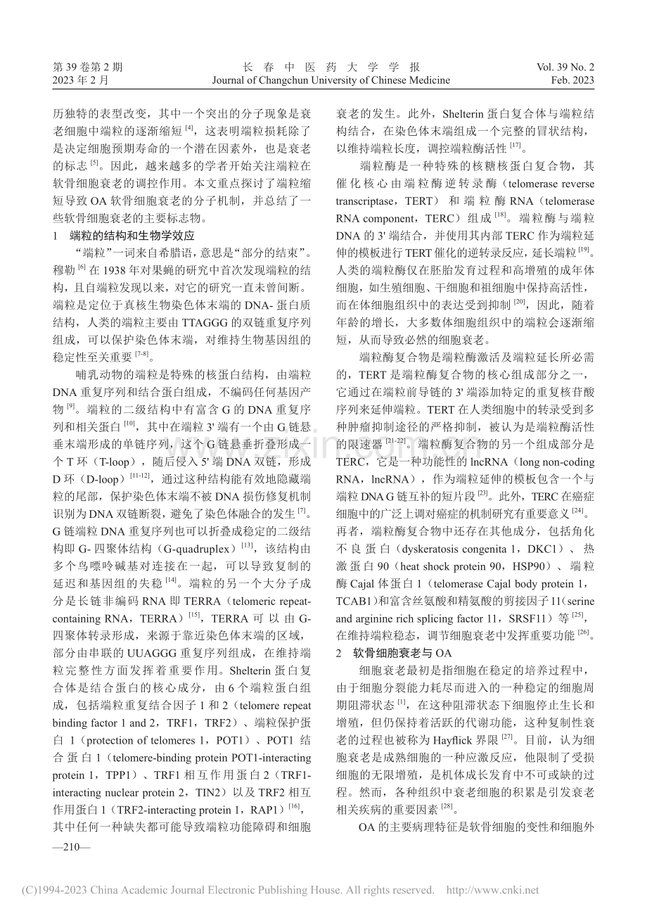 端粒与骨关节炎软骨细胞衰老的研究进展_刘浪.pdf_第2页