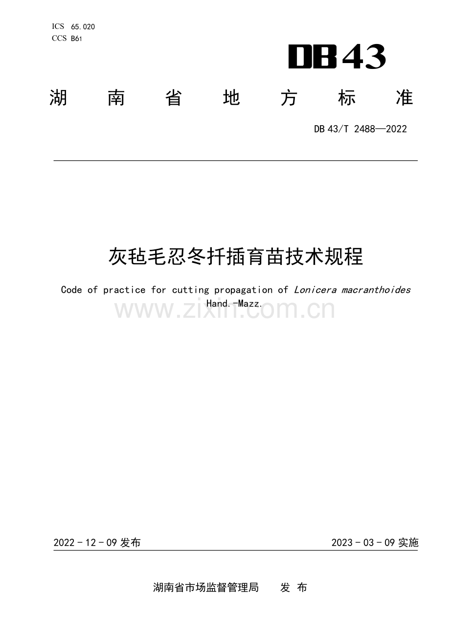 DB43∕T 2488-2022 灰毡毛忍冬扦插育苗技术规程(湖南省).pdf_第1页