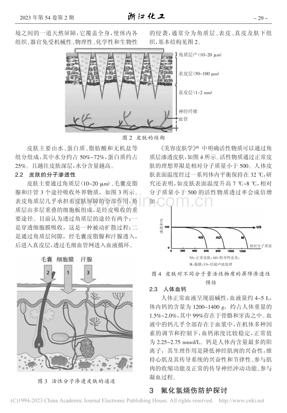 氟化氢渗透烧伤应对与探讨_张航文.pdf_第3页