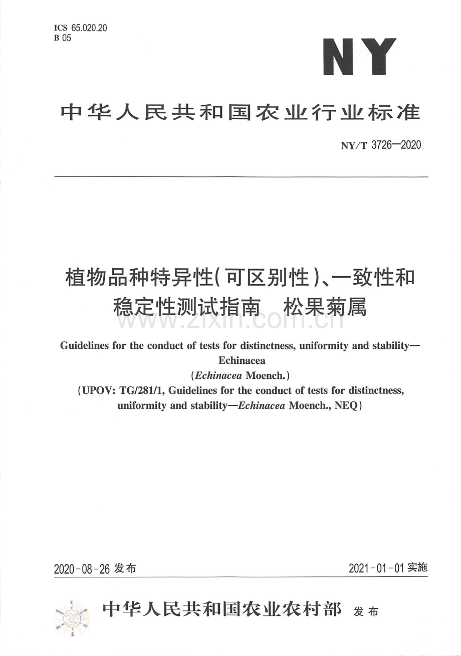 NY∕T 3726-2020 植物品种特异性（可区别性）、一致性和稳定性测试指南 松果菊属.pdf_第1页