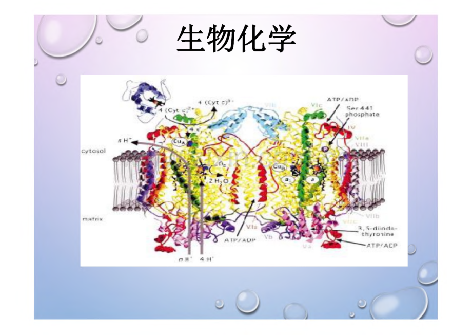 生物化学-第0章 绪论.pdf_第1页