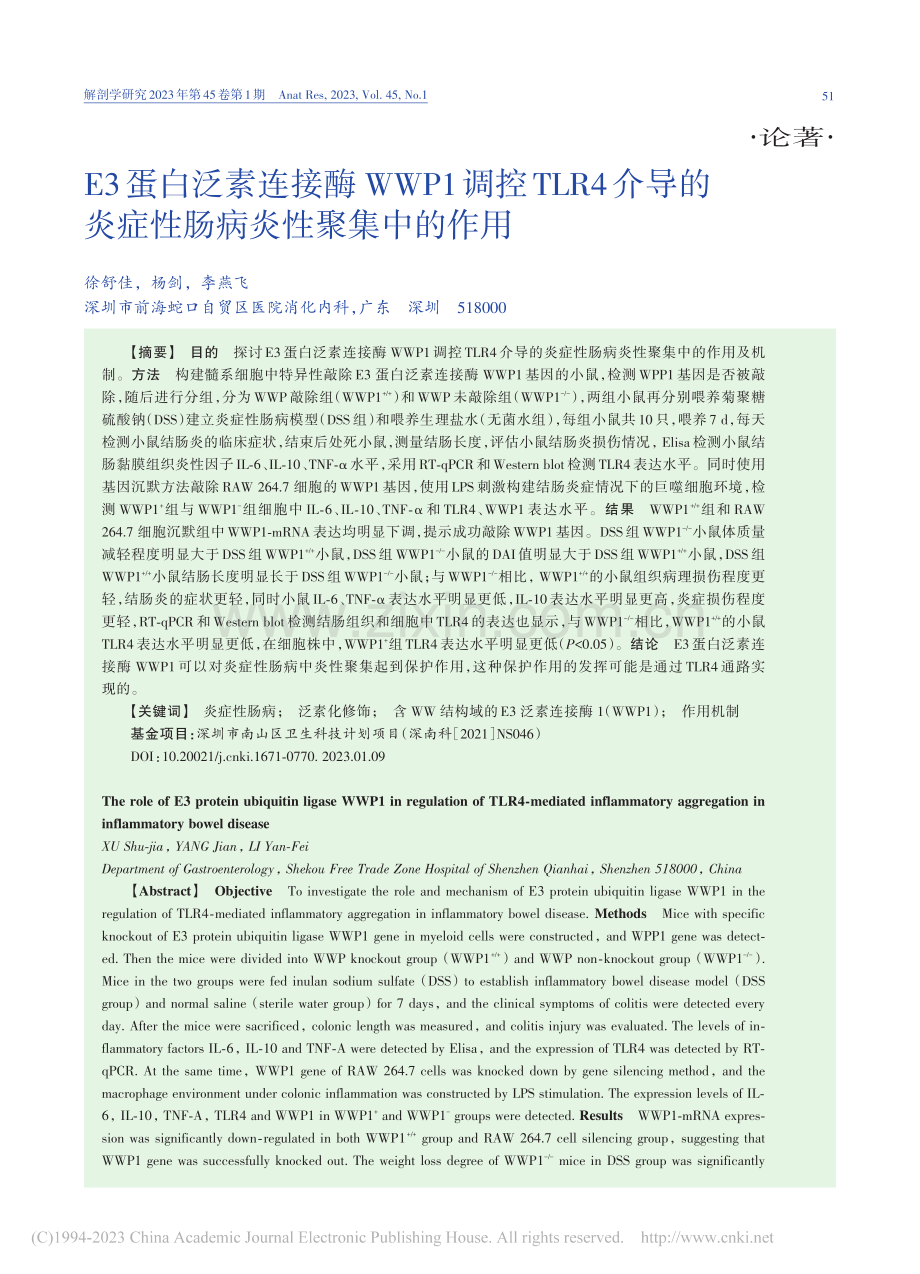 E3蛋白泛素连接酶WWP1...炎症性肠病炎性聚集中的作用_徐舒佳.pdf_第1页