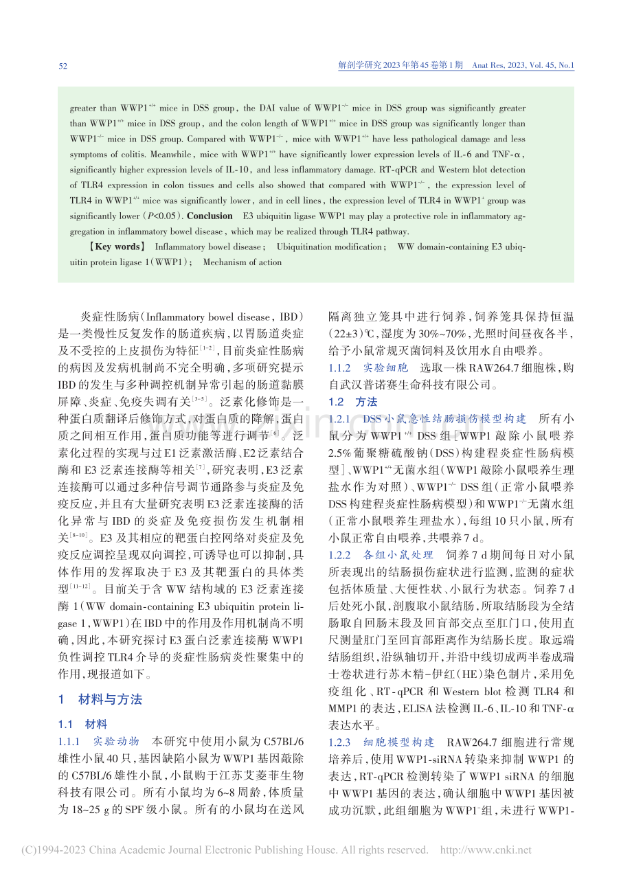 E3蛋白泛素连接酶WWP1...炎症性肠病炎性聚集中的作用_徐舒佳.pdf_第2页