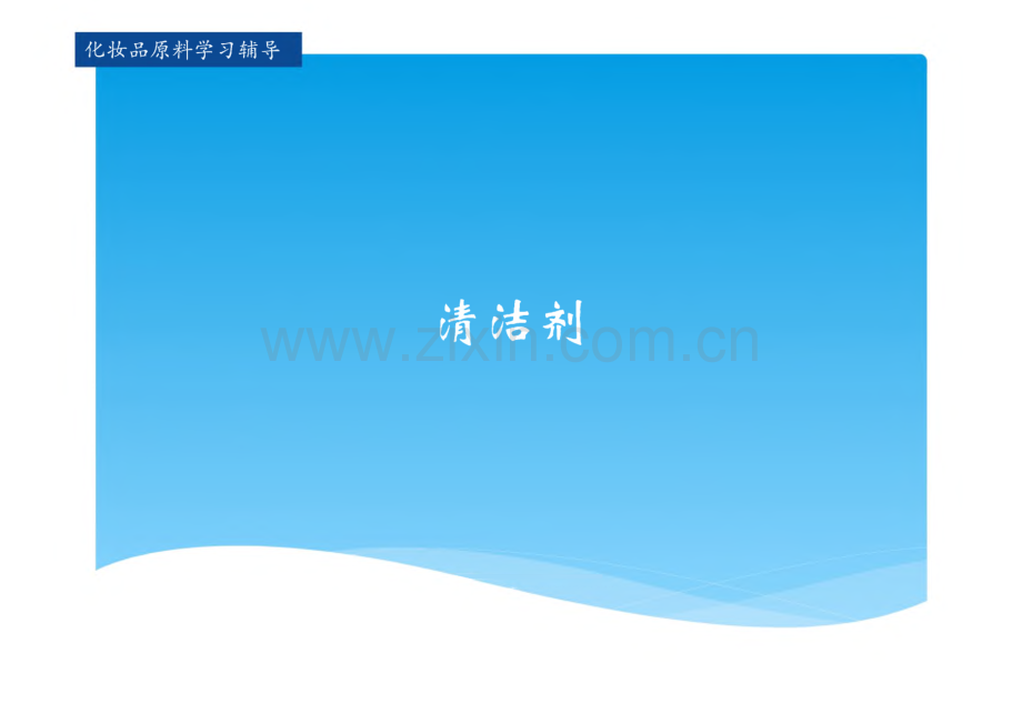 化妆品原料 课件 学习任务九 清洁剂.pdf_第1页