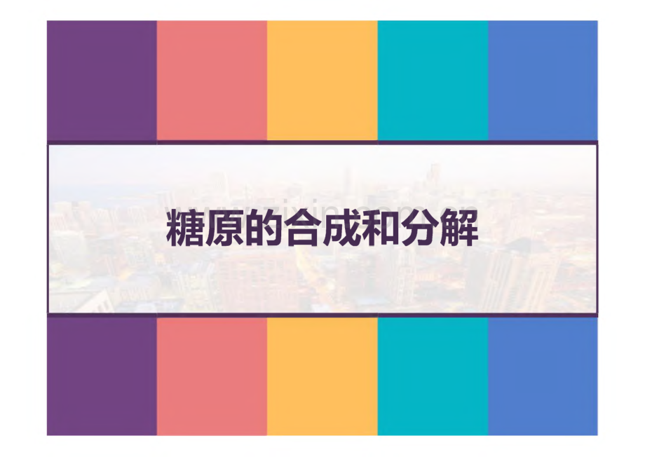 糖原的合成和分解.pdf_第1页