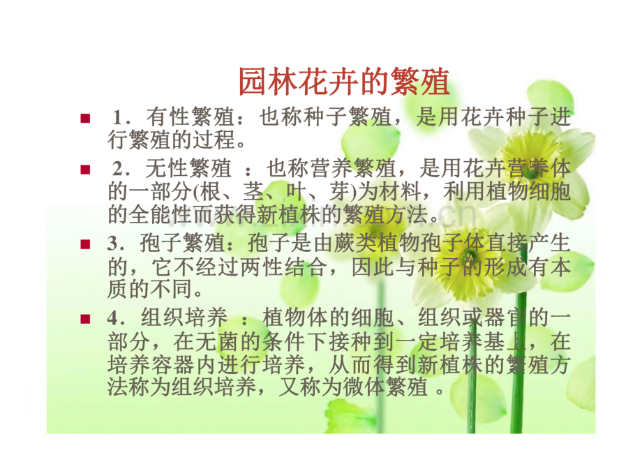 园林花卉学 第二版 课件 花卉的繁殖、花叶万年青、花烛属.pdf_第1页