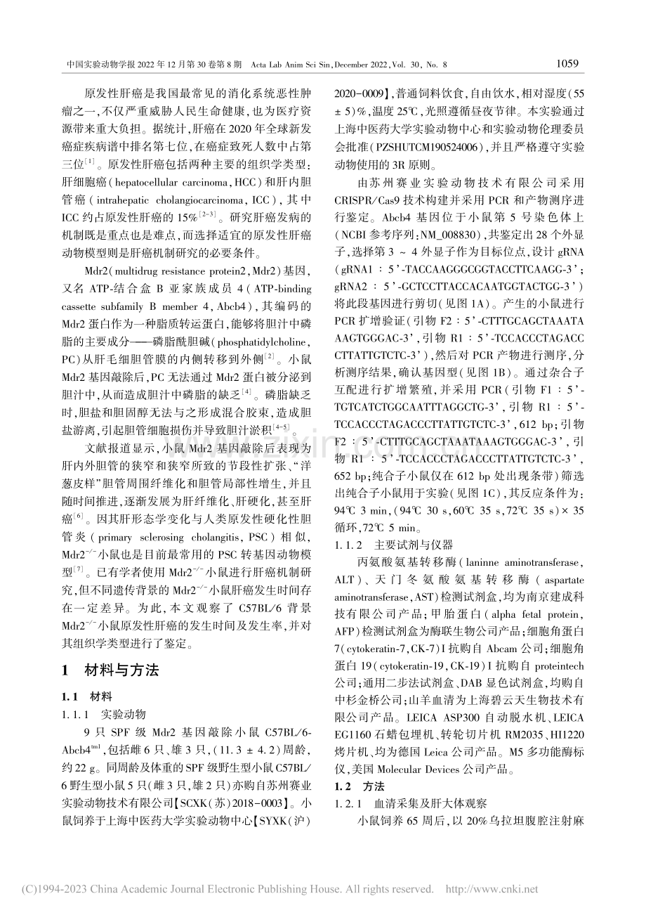 Mdr2基因敲除小鼠建立原发性肝癌模型观察_李萌.pdf_第2页