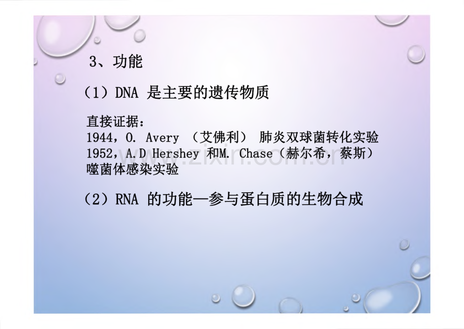 生物化学-第4 章 核酸化学.pdf_第2页