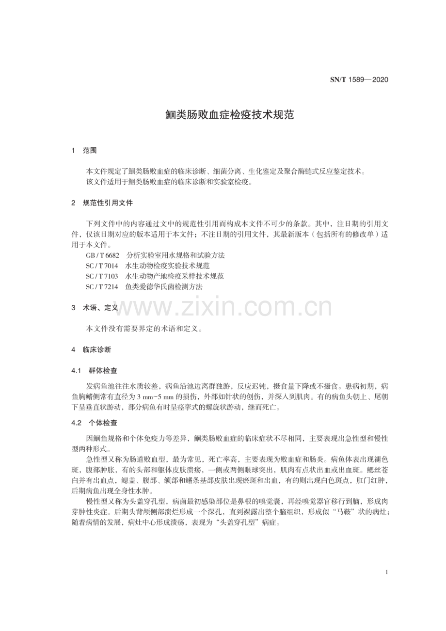 SN∕T 5189-2020 鮰类肠败血症检疫技术规范.pdf_第3页