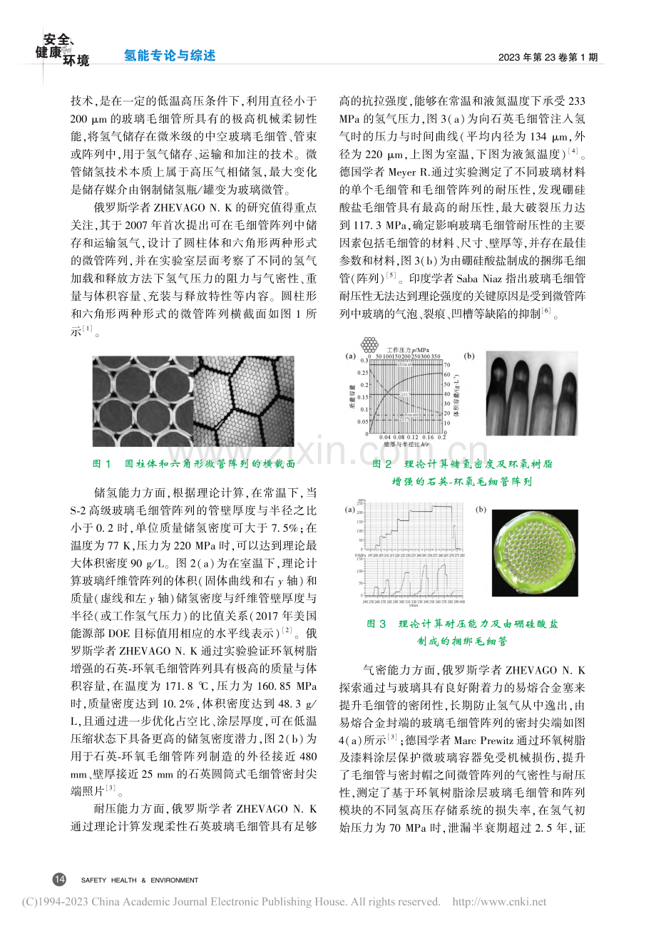 高压微管储氢领域专利布局与关键技术剖析_王林.pdf_第2页