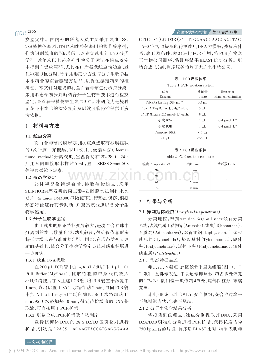 荷兰进境百合种球中线虫的分离及分子鉴定_张寅寅.pdf_第2页