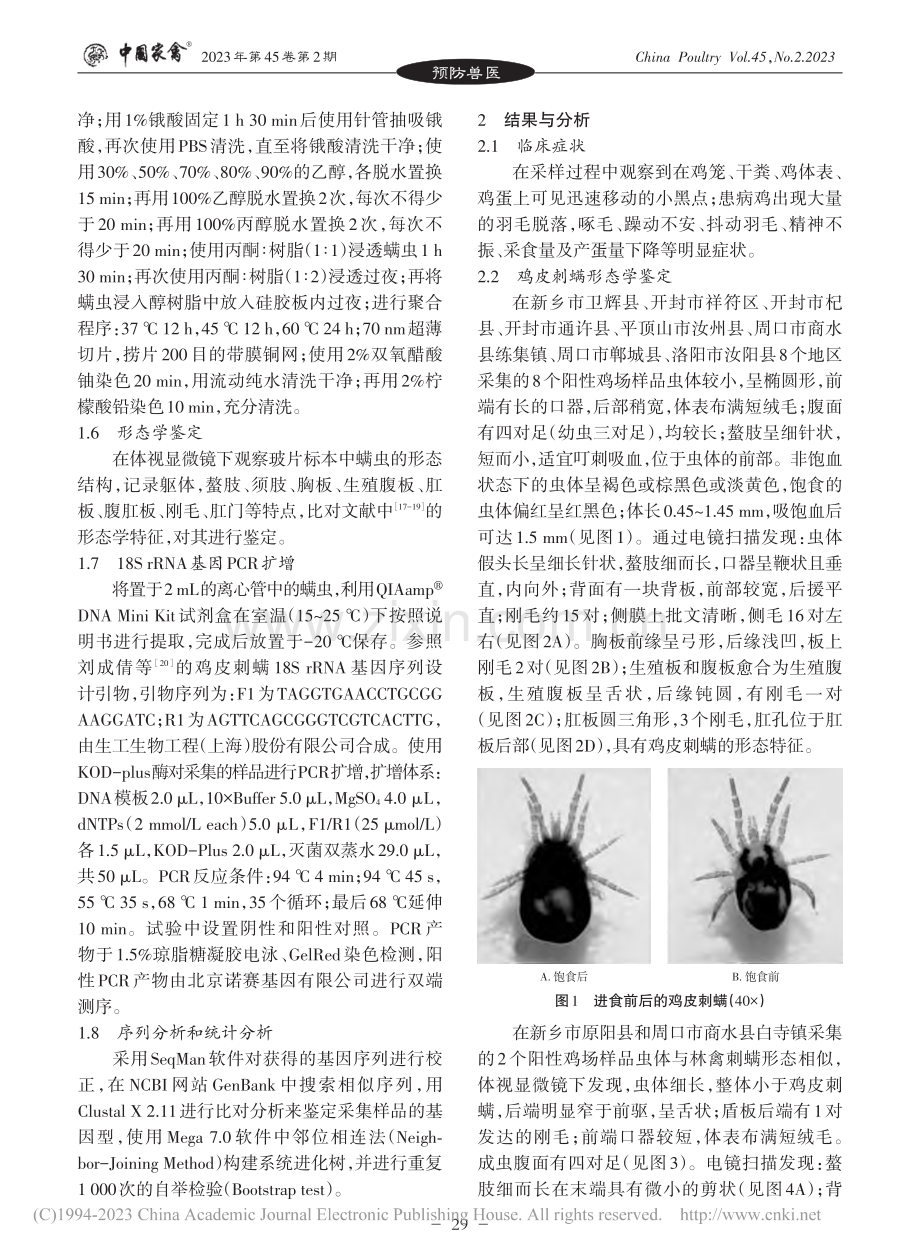 河南省部分地区蛋鸡场螨虫的种类鉴定_菅忆晨.pdf_第3页