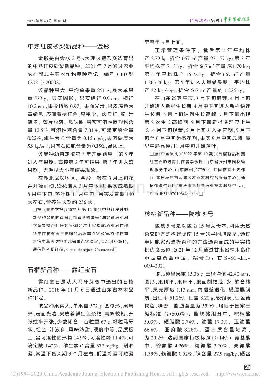 核桃新品种——陇核5号_王一峰.pdf_第1页