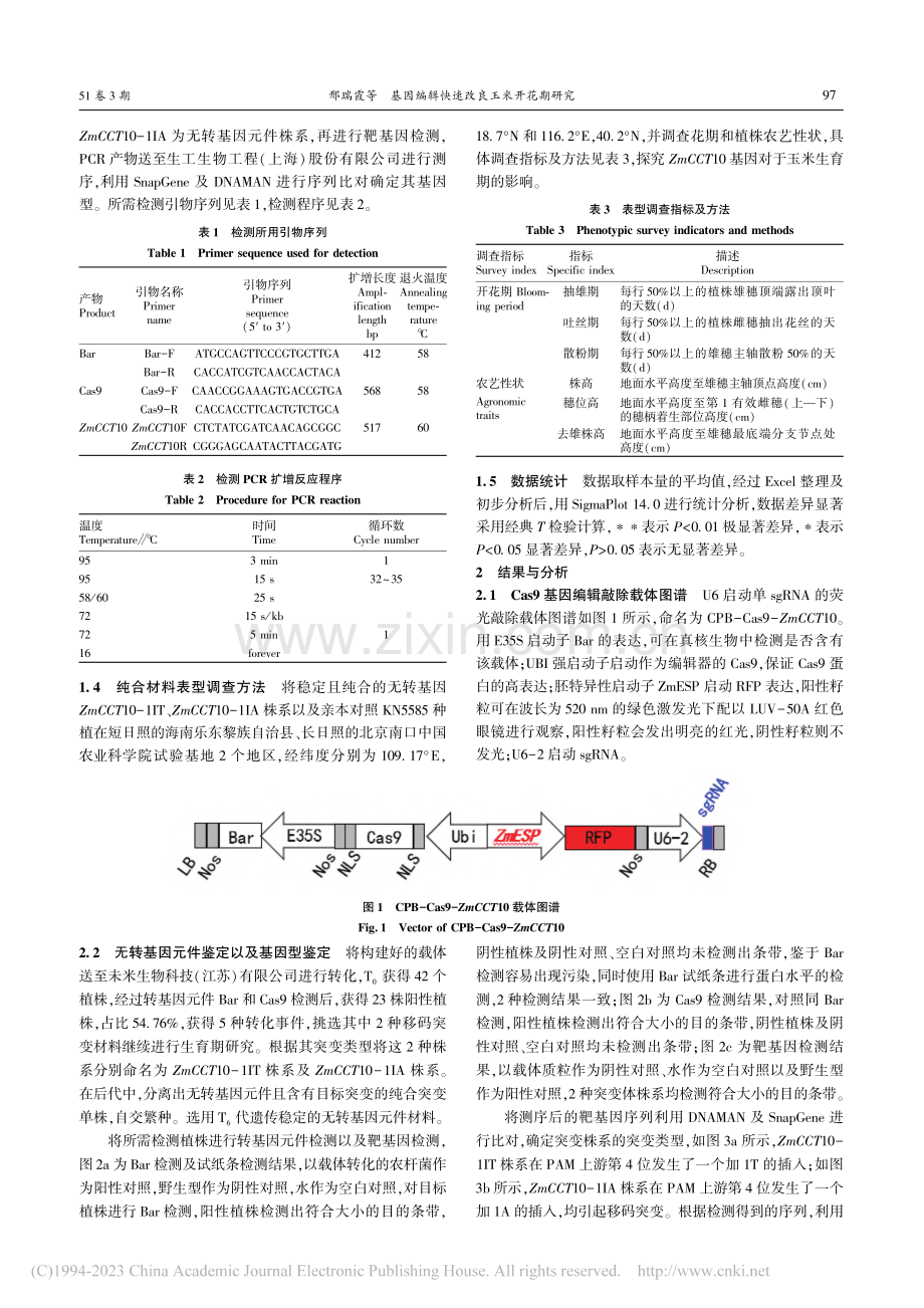 基因编辑快速改良玉米开花期研究_邢瑞霞.pdf_第2页