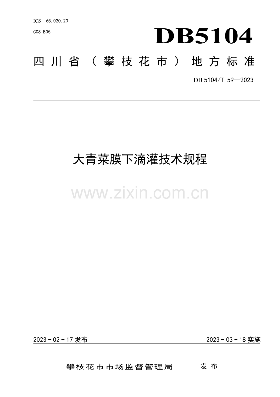 DB5104∕T 59-2023 大青菜膜下滴灌技术规程(攀枝花市).pdf_第1页