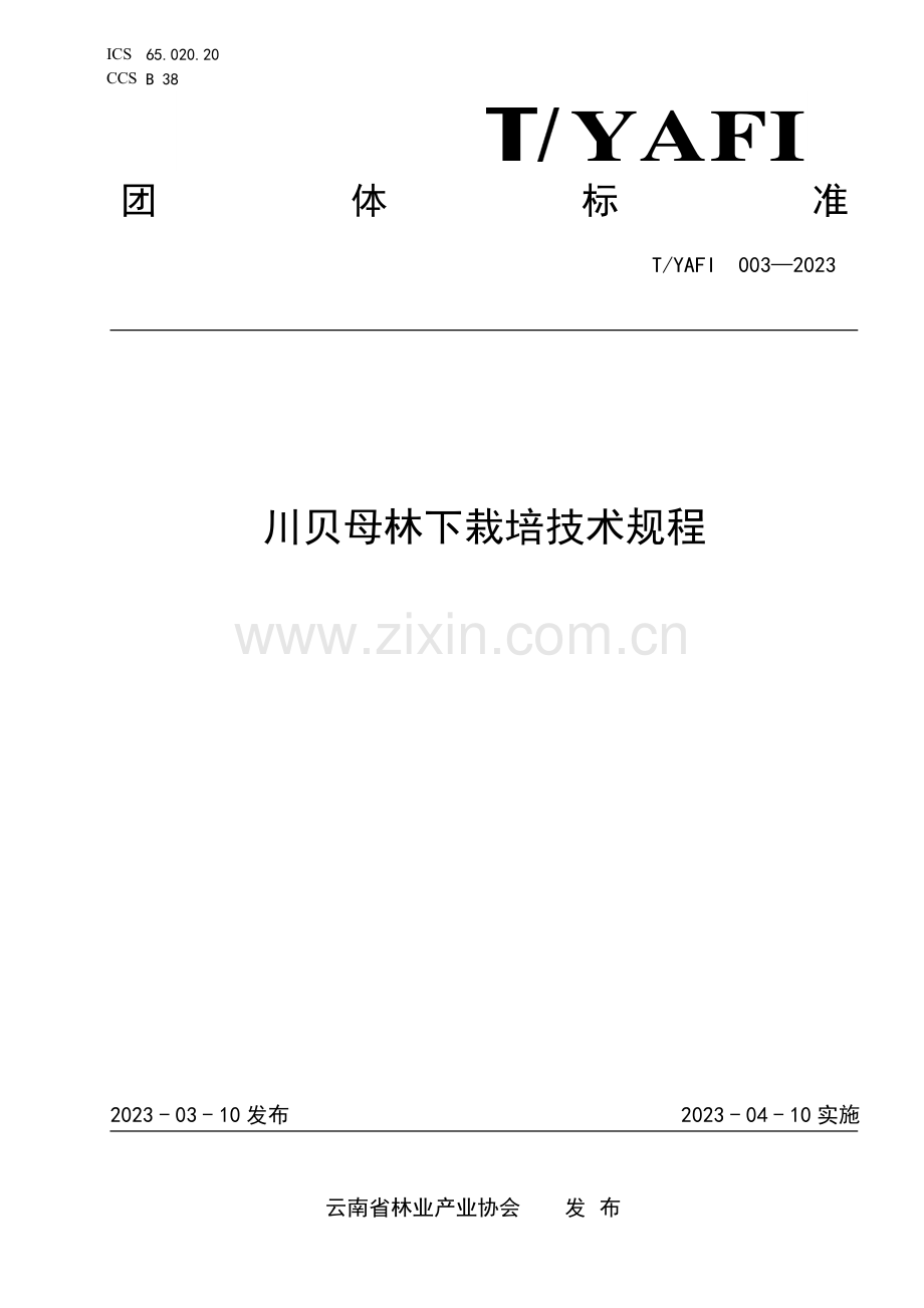 T∕YAFI 003-2023 川贝母林下栽培技术规程.pdf_第1页