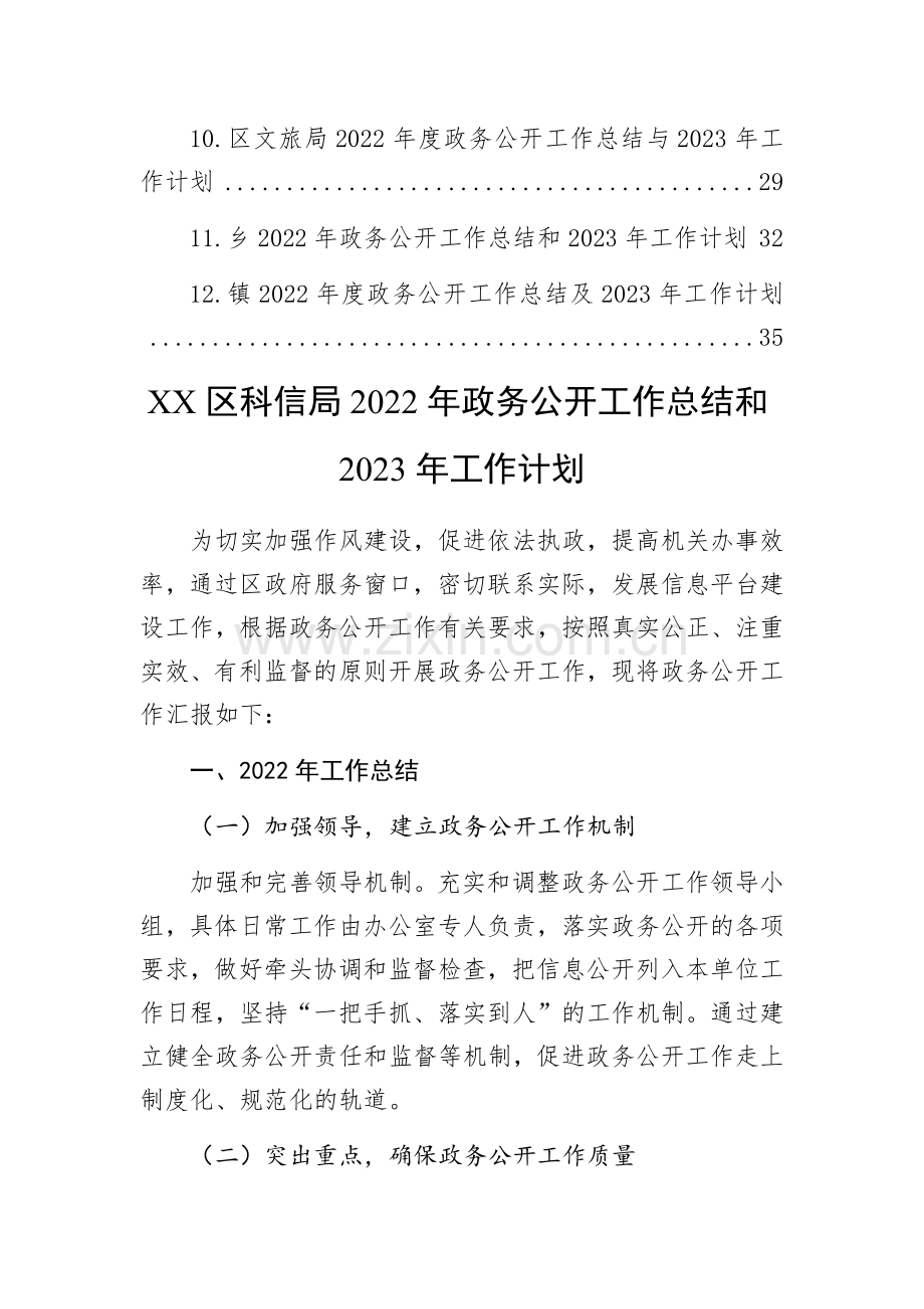 2022年政务公开工作总结及2023年工作计划汇编(12篇).docx_第2页