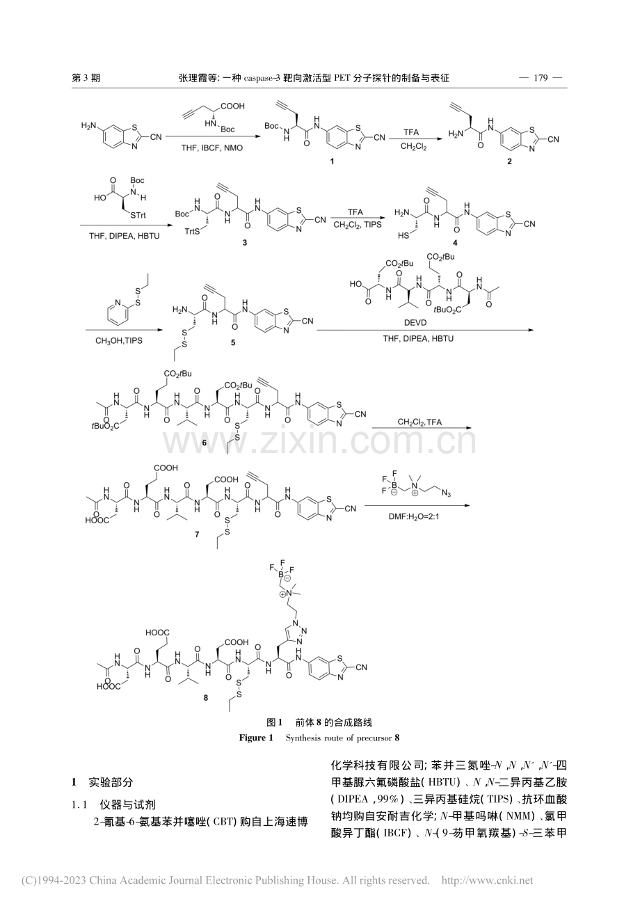 一种caspase-3靶向...PET分子探针的制备与表征_张理霞.pdf_第3页