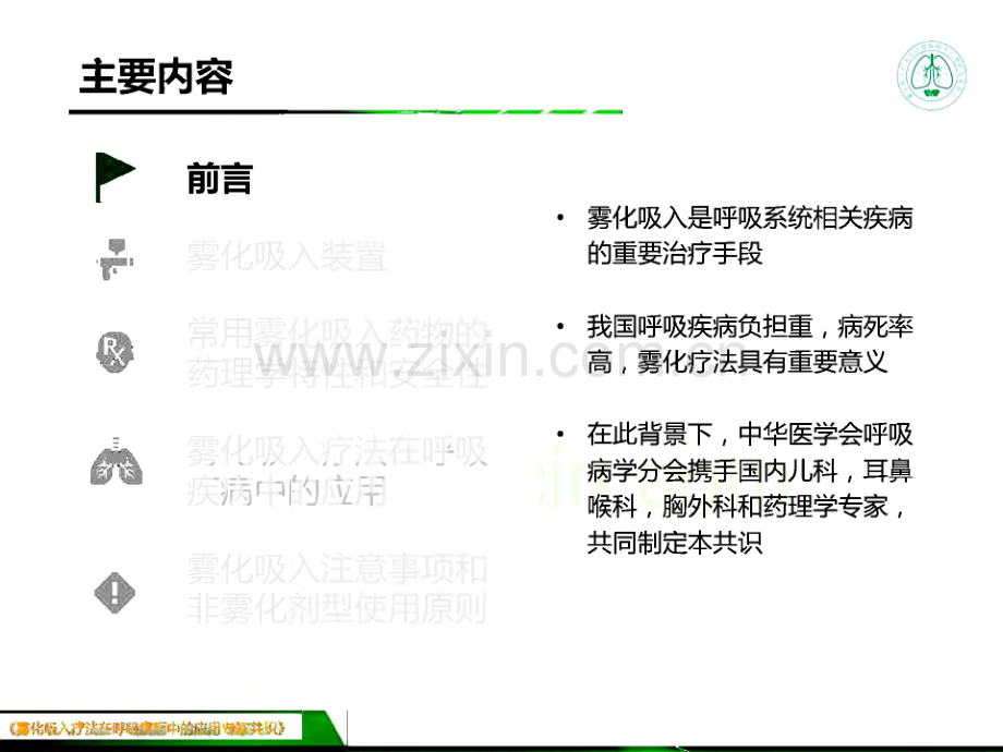 雾化吸入疗法在呼吸疾病中的应用专家共识.pdf_第2页